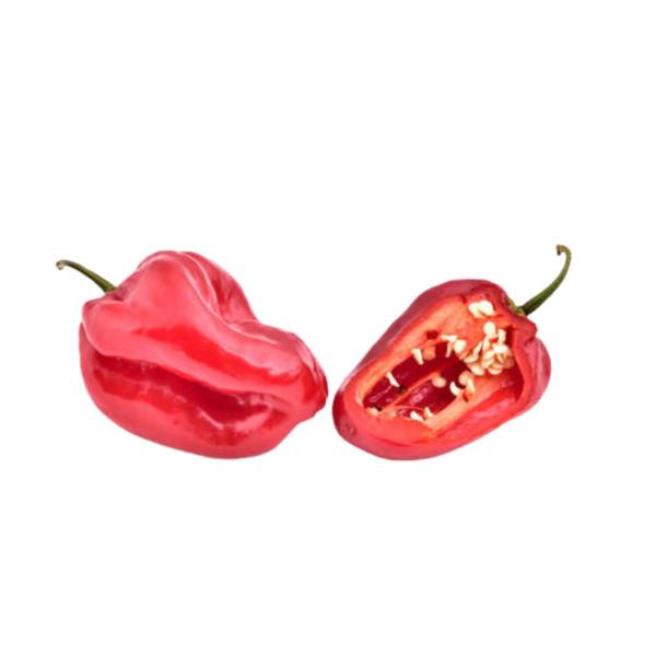 Imagem de 4X Sementes de Pimenta Habanero (Red) TOPSEED