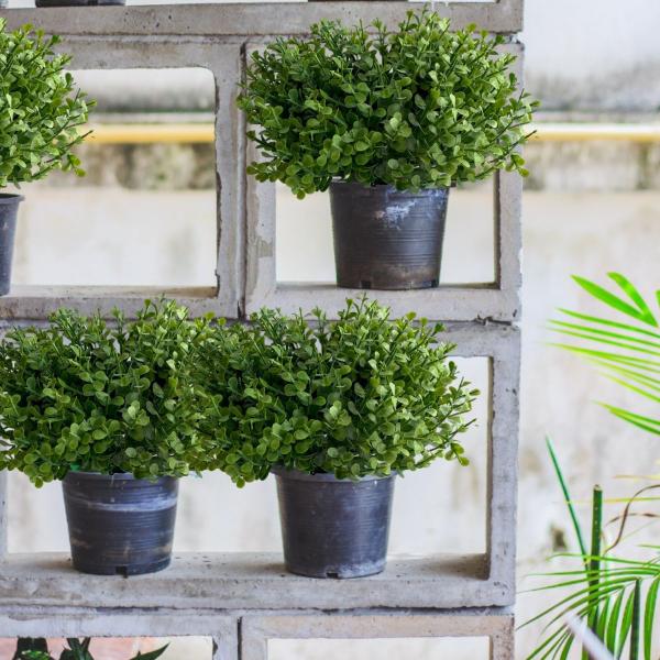 5 buquês de mini eucalipto 6 hastes cada plantas artificiais para decoração de mesas e recepção - DE0324 - Decora Flores Artificiais Imagem de 5 buquês de mini eucalipto 6 hastes cada plantas artificiais para decoração de mesas e recepção - DE0324
