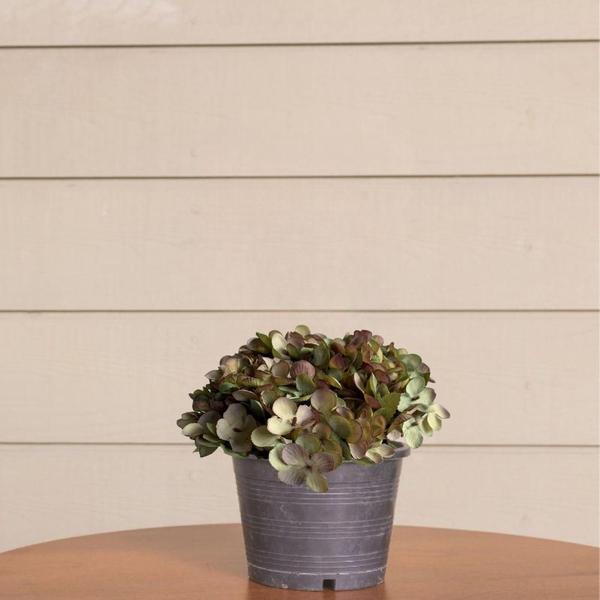 Imagem de 5 buquês flores mini hortênsia artificial decoração p/ casa festa de casamento jardim e escritório