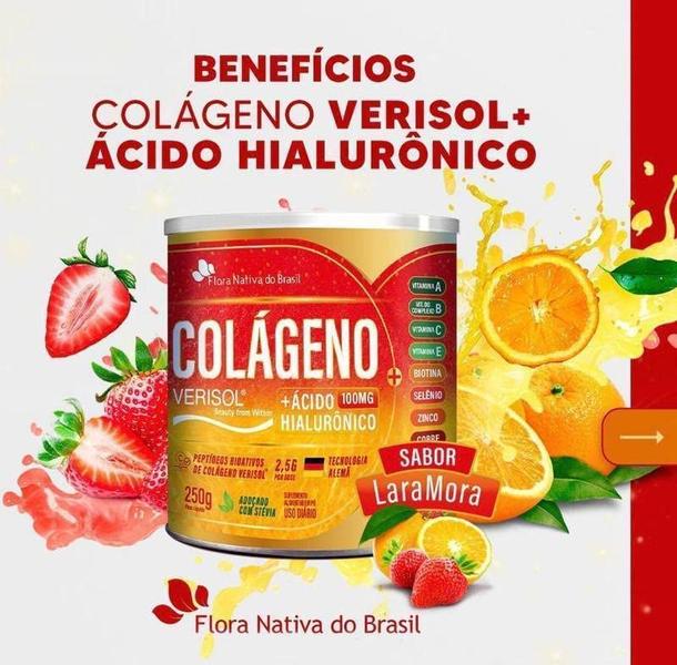 Imagem de 5 Colágeno Verisol+Ácido Hialurônico 250g Sabor Laramora FNB