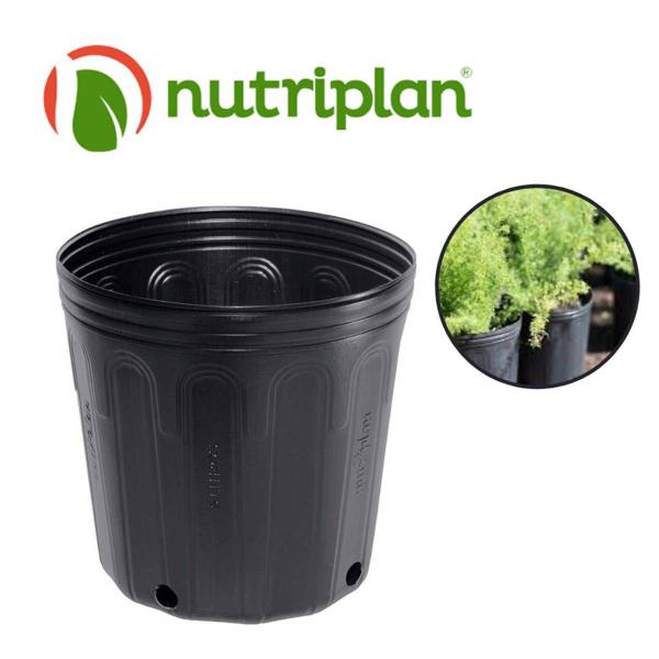 50X Embalagem Para Muda Sem Alça (2,8L) Preto NUTRIPLAST Imagem de 50X Embalagem Para Muda Sem Alça (2,8L) Preto NUTRIPLAST