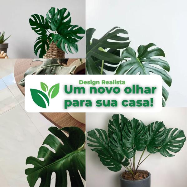 6 Folhas Costela de Adão Premium Com Haste Arranjos - Agiani Shop Imagem de 6 Folhas Costela de Adão Premium Com Haste Arranjos