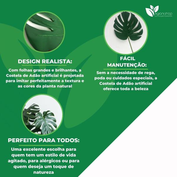6 Folhas Costela de Adão Premium Com Haste Arranjos - Agiani Shop Imagem de 6 Folhas Costela de Adão Premium Com Haste Arranjos