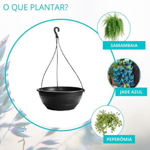 Imagem de 6 Vaso Cuia Com Haste Guia Para Plantas E Flores Pendentes 6,6 Litros