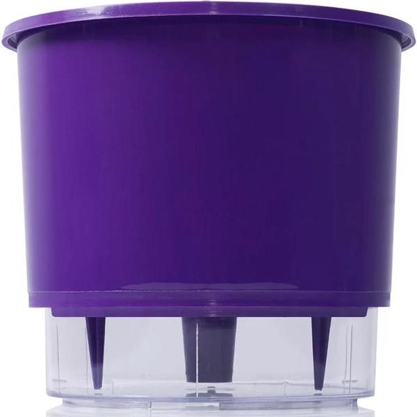 Imagem de 6 Vaso Raiz Autoirrigavel 16X14 Roxo Área Interna Ou Externa