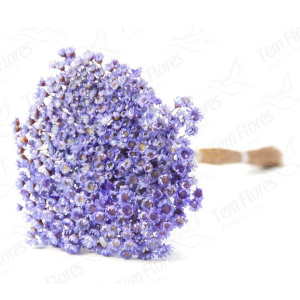 600 Sempre Viva Para Decoração - Arranjo Primavera Casamento Imagem de 600 Sempre Viva Para Decoração