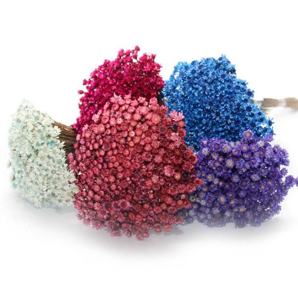 600 Sempre Viva Para Decoração - Arranjo Primavera Casamento Imagem de 600 Sempre Viva Para Decoração