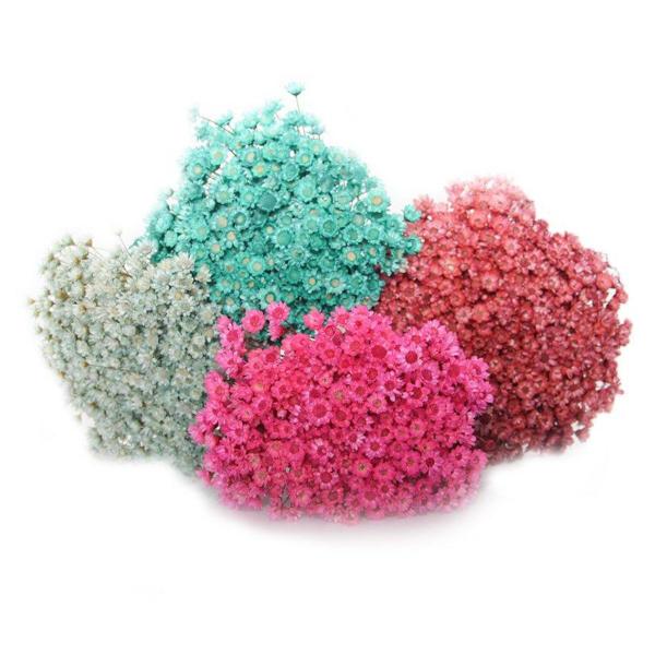 600 Sempre Viva Para Decoração - Arranjo Primavera Casamento Imagem de 600 Sempre Viva Para Decoração