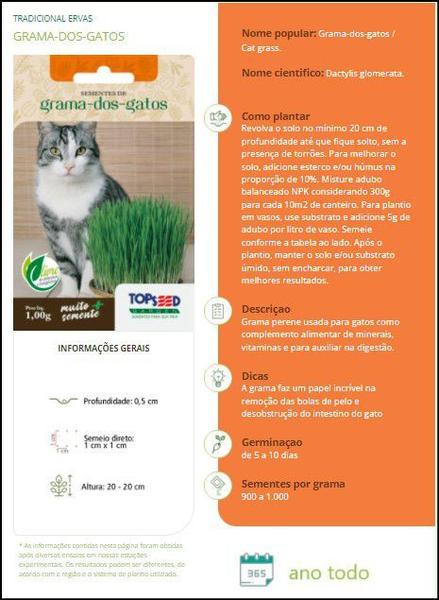 Imagem de 6X Sementes De Grama Dos Gatos (Cat Grass) TOPSEED