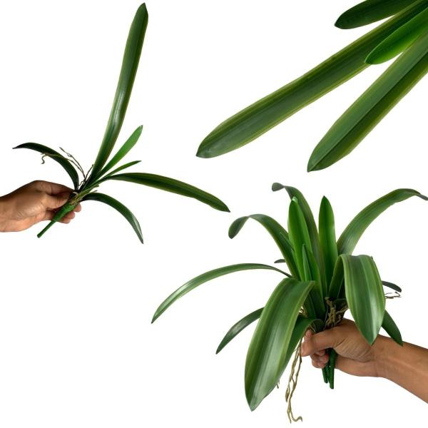 Imagem de 7 Folhas de Orquídeas Cymbidium Plantas Artificiais em Silicone que Parecem Reais Decoração de Sala DE3224