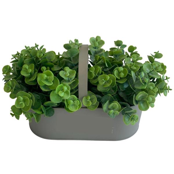 9 maços (54 hastes) Picks mini eucalipto planta artificial buquê para arranjo casamento - DE2823 - Decora Flores Artificiais Imagem de 9 maços (54 hastes) Picks mini eucalipto planta artificial buquê para arranjo casamento - DE2823