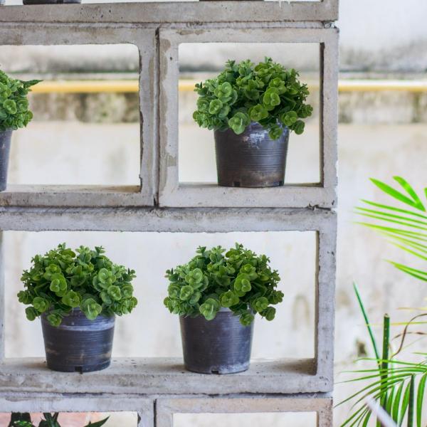 9 maços (54 hastes) Picks mini eucalipto planta artificial buquê para arranjo casamento - DE2823 - Decora Flores Artificiais Imagem de 9 maços (54 hastes) Picks mini eucalipto planta artificial buquê para arranjo casamento - DE2823