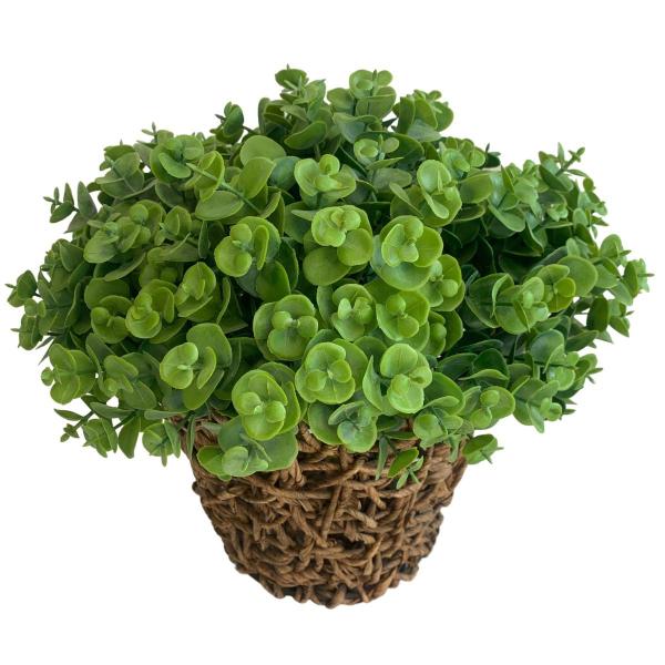 9 maços (54 hastes) Picks mini eucalipto planta artificial buquê para arranjo casamento - DE2823 - Decora Flores Artificiais Imagem de 9 maços (54 hastes) Picks mini eucalipto planta artificial buquê para arranjo casamento - DE2823