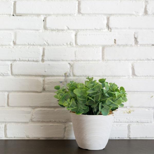9 maços (54 hastes) Picks mini eucalipto planta artificial buquê para arranjo casamento - DE2823 - Decora Flores Artificiais Imagem de 9 maços (54 hastes) Picks mini eucalipto planta artificial buquê para arranjo casamento - DE2823