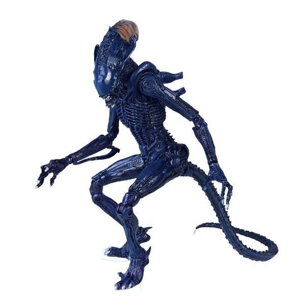 Imagem de Action Figure Aliens Vs Predator - Alienígena Individual Surpresa Ref.: 51717