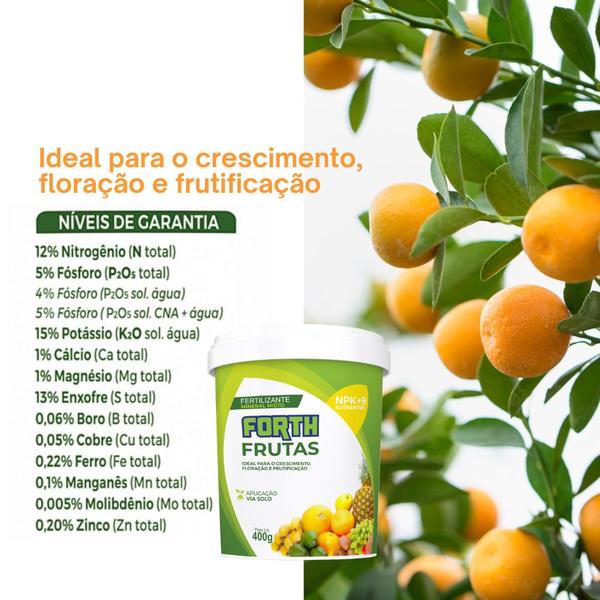 Imagem de Adubo Fertilizante Forth  400g Jardim Flores Frutas Kit 3