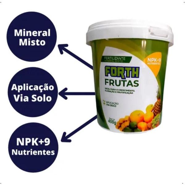 Imagem de Adubo Fertilizante Forth Frutas 400g Floração Frutificação