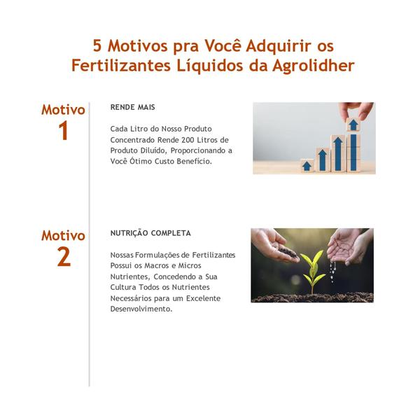 Imagem de Adubo Fertilizante Liquido Npk 08.28.16 - 25 Litros