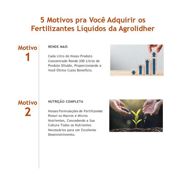Imagem de Adubo Fertilizante Liquido Npk 10.10.10 - 5Litros