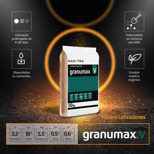 Imagem de Adubo Fertilizante plantio Granumax V 50kg