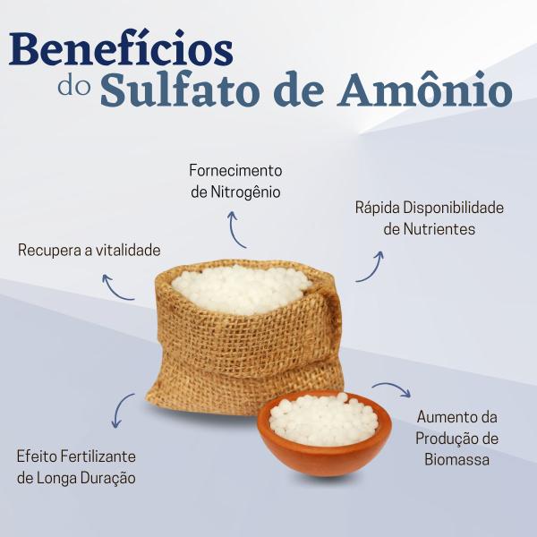 Imagem de Adubo Fertilizante Sulfato de Amônio Branco  N20  S24 - 1 Kg