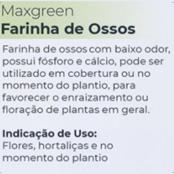 Imagem de Adubo Maxgreen Farinha De Ossos Fertilizante Mineral Simples - Forth