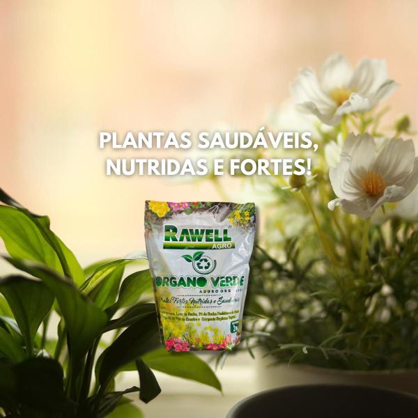 Adubo Mineral Organico Bokashi Fertilizante Organo Verde 2KG - Rawell Imagem de Adubo Mineral Organico Bokashi Fertilizante Organo Verde 2KG