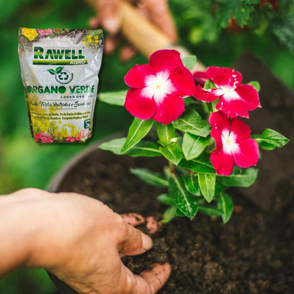Adubo Mineral Organico Bokashi Fertilizante Organo Verde 2KG - Rawell Imagem de Adubo Mineral Organico Bokashi Fertilizante Organo Verde 2KG