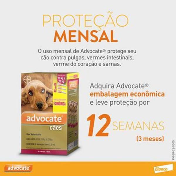 Imagem de Advocate Anti Pulgas Cães Ate 4 Kg Bayer 1 Pipeta