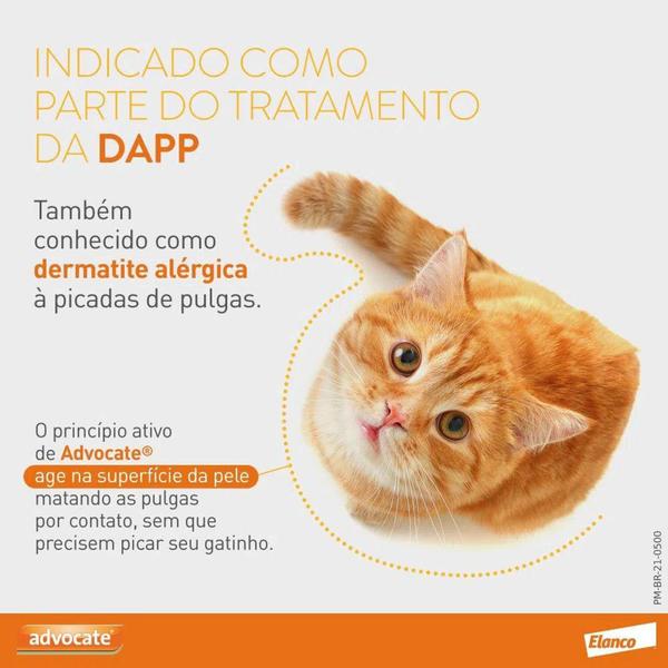 Imagem de Advocate antipulgas e vermífugo gatos 4 a 8kg - combo com 3 - Elanco