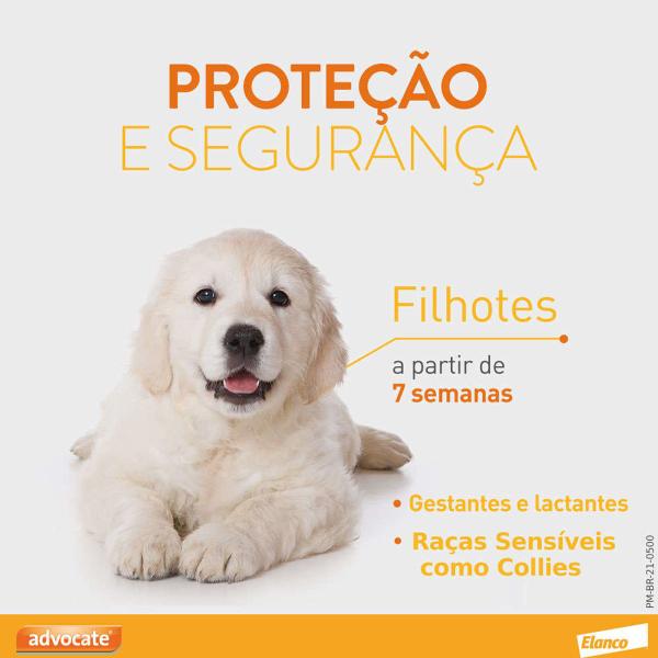 Imagem de Advocate Elanco Antipulgas para Cachorro Até 4kg Kit com 3