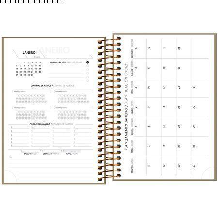 Imagem de Agenda Executiva Espiral Diária M5 13,4 x 19,2 cm Napoli Cores 2025 Tilibra