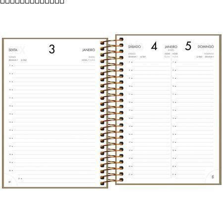 Imagem de Agenda Executiva Espiral Diária M5 13,4 x 19,2 cm Napoli Cores 2025 Tilibra