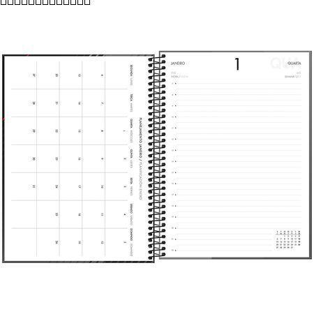 Imagem de Agenda Executiva Espiral Diária M9 20 X 27,5 Cm (Grande) Spot 2025 Tilibra