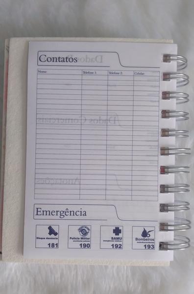 Imagem de Agenda Personalizada Anual 2025 Capa personalizadas- 20x14,5cm quando Foi que eu Anotei