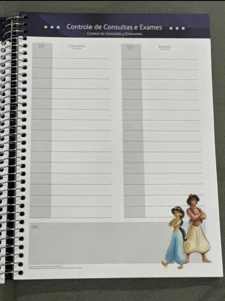Imagem de Agenda Planner Espiral Capa Dura  Disney 100 Sortido 192 Páginas Ref.7506124 Jandaia