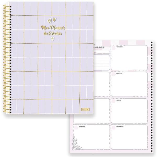 Imagem de AGENDA/PLANNER Permanente Estudo 84 Folhas 179X241MM Pacote com 4