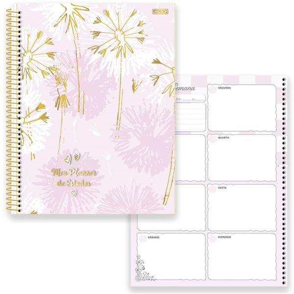 Imagem de AGENDA/PLANNER Permanente Estudo 84 Folhas 179X241MM Pacote com 4