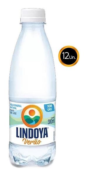 Imagem de Água Mineral Lindoya 300Ml Kit 12