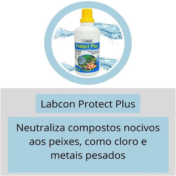 Imagem de Alcon Labcon Protect Plus 100ml Kit Com 5 Unidades