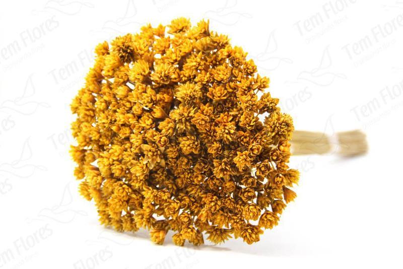 Imagem de Alecrim Amarelo Desidratado Buque Flores Secas