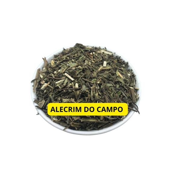 Alecrim do Campo 1Kg (Baccharis dracunculifolia) - Top Life Imagem de Alecrim do Campo 1Kg (Baccharis dracunculifolia)