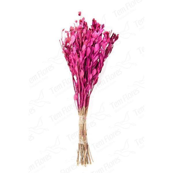 Imagem de Alecrim Pink Desidratado Buque Flores Secas