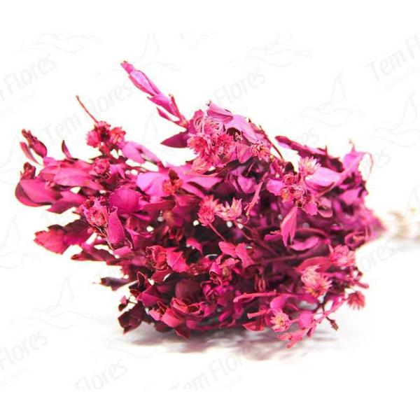 Imagem de Alecrim Pink Desidratado Buque Flores Secas