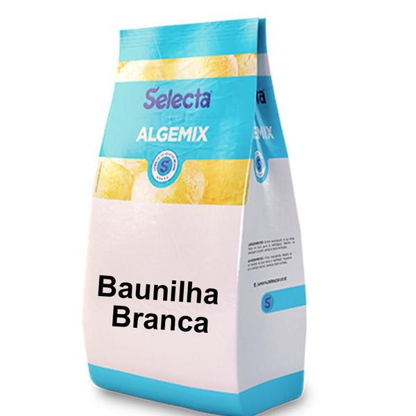 Algemix Saborizante de Sorvete Baunilha Branca 1 Kg - Selecta Imagem de Algemix Saborizante de Sorvete Baunilha Branca 1 Kg