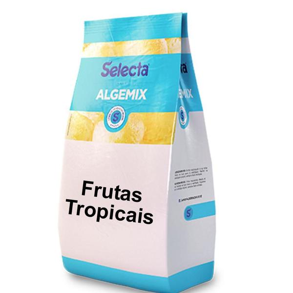 Imagem de Algemix Saborizante de Sorvete Frutas Tropicais 1 Kg