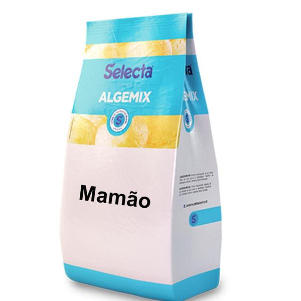 Imagem de Algemix Saborizante de Sorvete Mamão 1 Kg