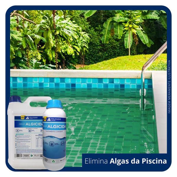 Imagem de Algicida Choque Piscina Elimina Algas Solução Para Água Verde 5 Litros