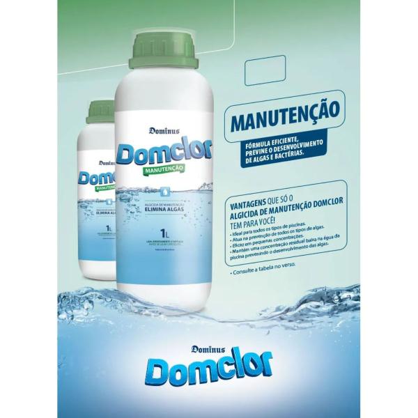 Imagem de Algicida de manutenção DomClor 1L Limpeza Para Piscina