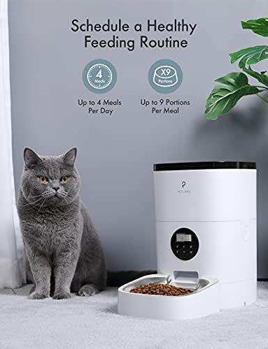 Imagem de Alimentador Automático 4L para Gatos Petlibro